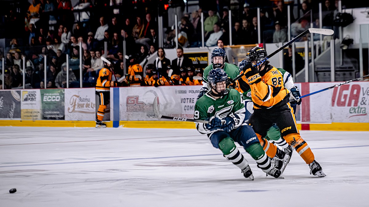 Premier match à domicile pour les Chevaliers de Lévis