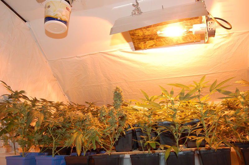 Une saisie de près de 10 000 $ à Saint-Georges