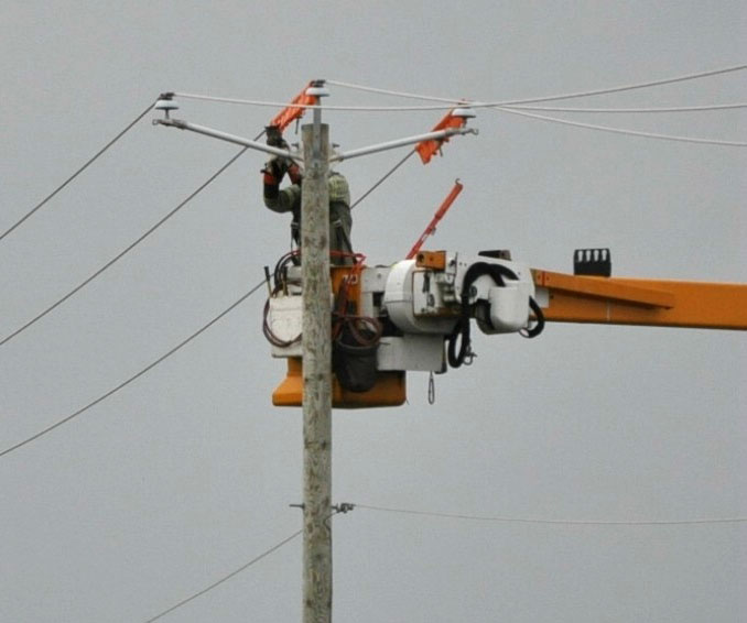 Le chat a finalement quitté son perchoir grâce à Hydro-Québec