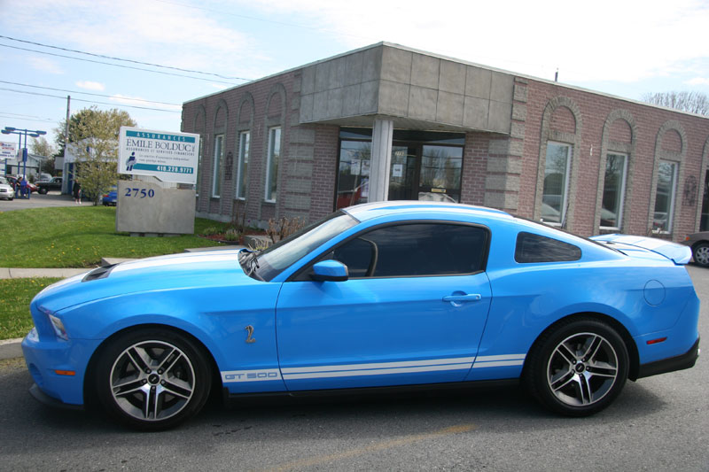 mustang