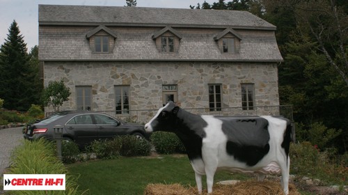 Perquisition de stupéfiants et vol d'une vache à Lac-Etchemin