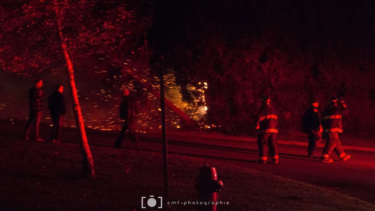 Un feu a pris naissance dans un arbre sur la 114e Rue, au coin de la 12e Avenue, à Saint-Georges, vendredi soir dernier, vers 21 h 30.