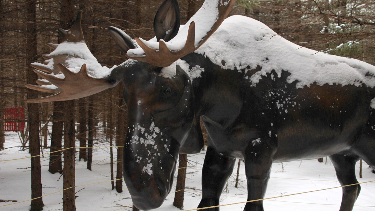 C’est Noël jusqu’en janvier au parc Éloland