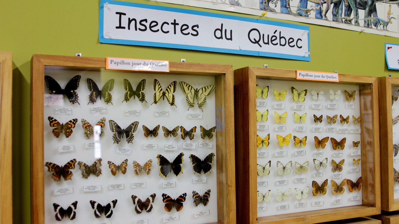 C’est Noël jusqu’en janvier au parc Éloland