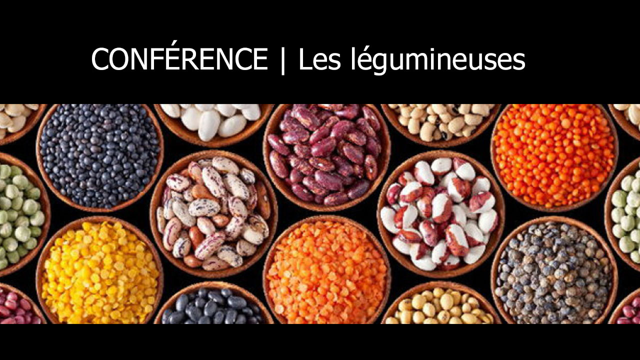 Service des loisirs et de la culture