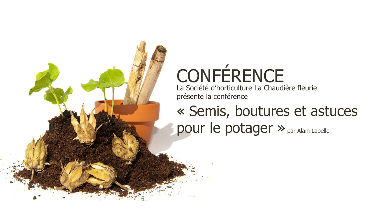 Service des loisirs et de la culture