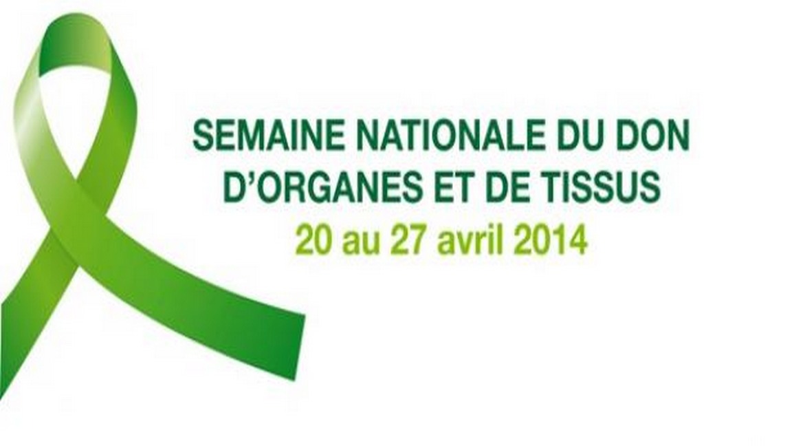 Le ruban vert est le symbole de Transplant Québec
