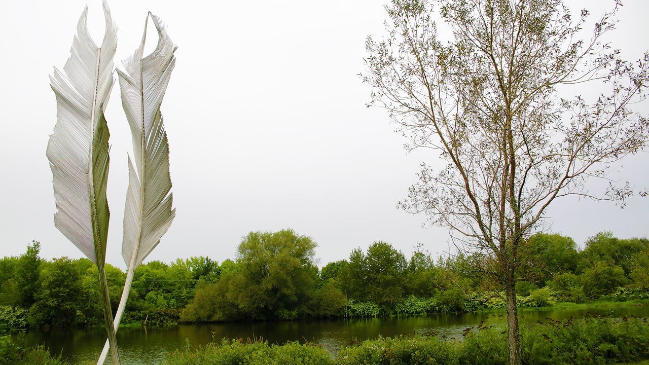 "Persistance intemporelle" de Yann Normand (Sainte-Brigitte-de-Laval, Québec).