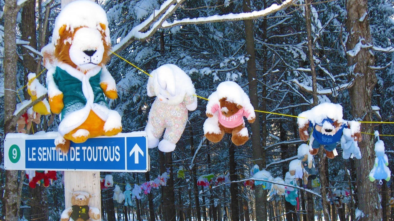 Un Sentier de toutous au centre de ski Saint-Georges