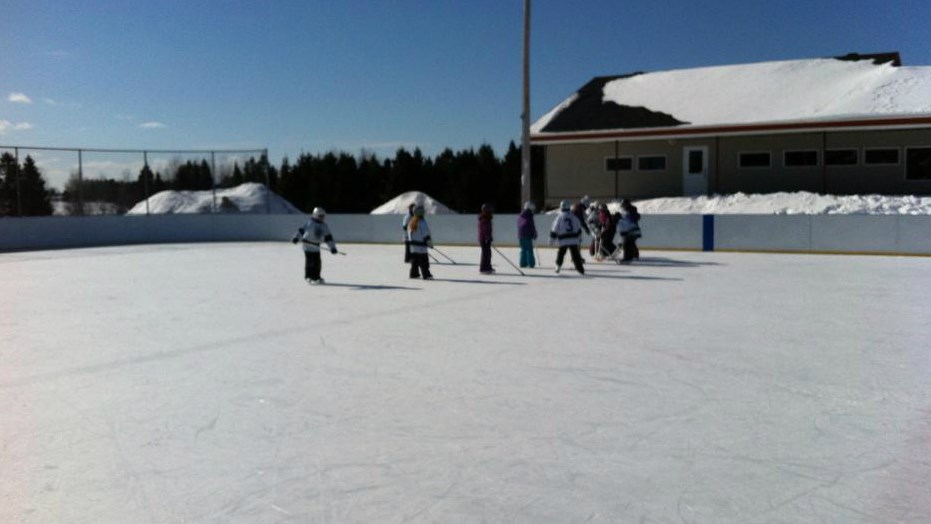 Une association de ringuette pour Beauce-Sartigan ?