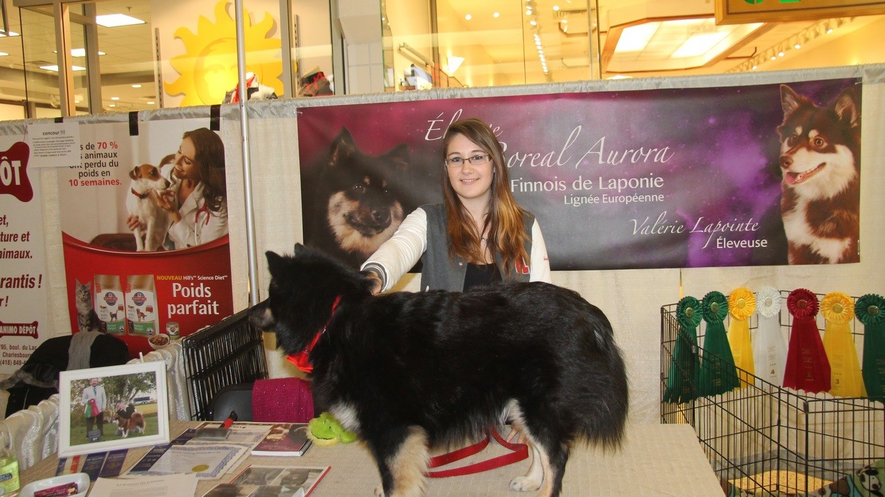 Le salon « Info Canin » est présenté au Carrefour Saint-Georges