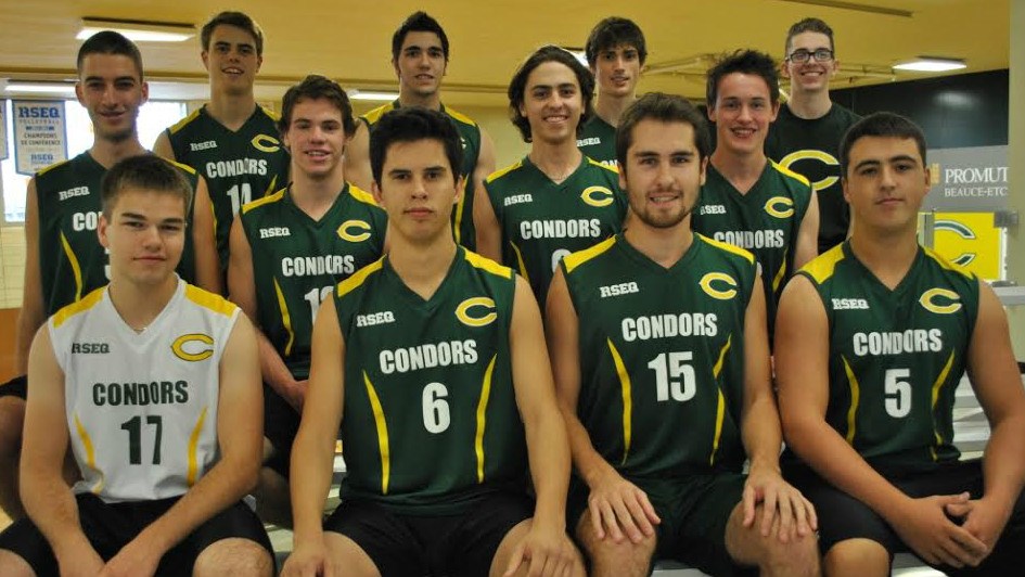 Équipe de volleyball division 2