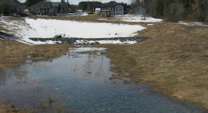 La Ville de Saint-Georges reboisera en juin près de la 23e rue