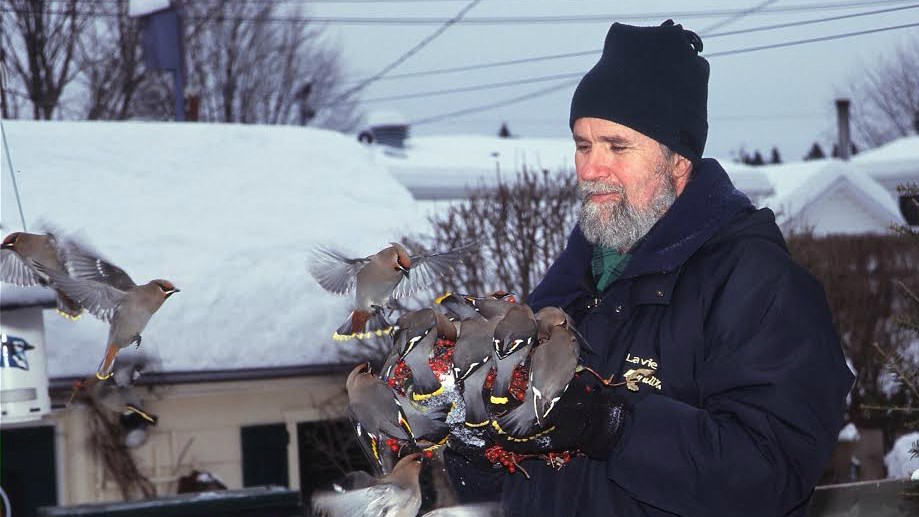 Robert Morin alias « Monsieur Moineau »