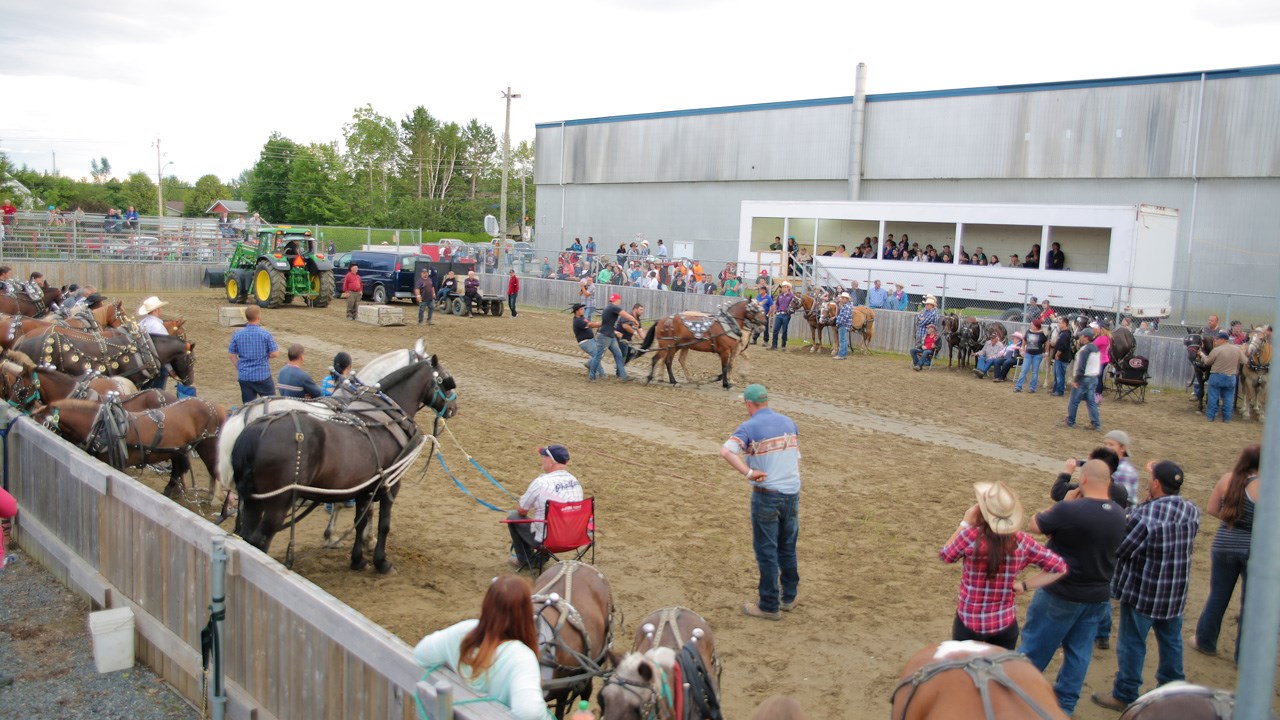 Les festivités se sont amorcées le 23 juillet avec une tire de chevaux.
