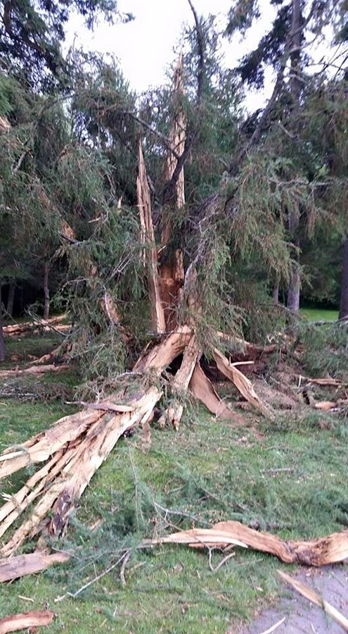 EN BREF | La foudre s'abat sur un arbre du terrain de golf de Saint-Georges
