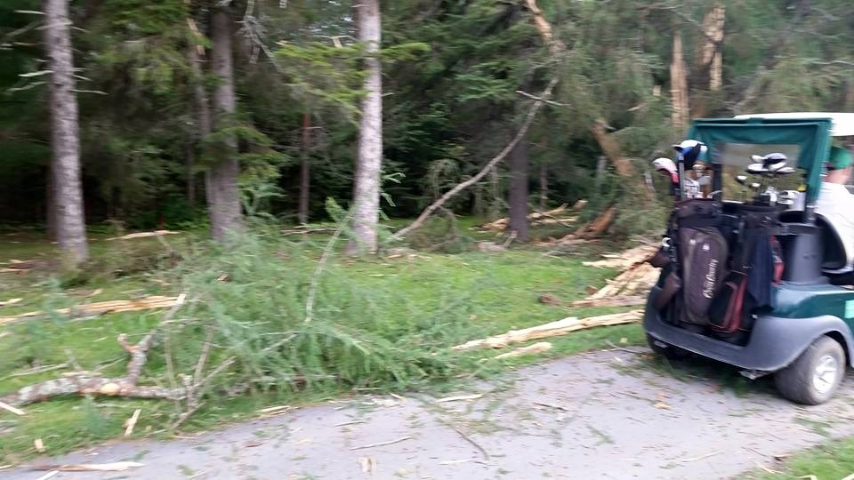 EN BREF | La foudre s'abat sur un arbre du terrain de golf de Saint-Georges