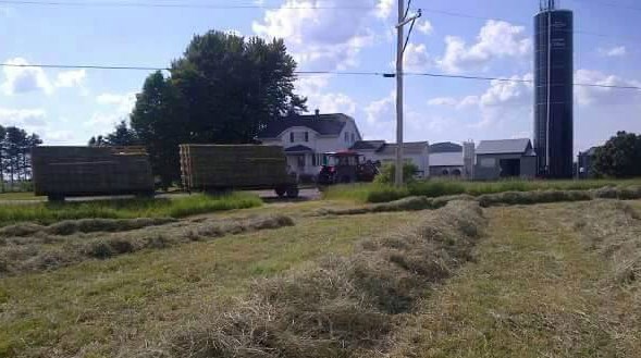 Méchoui estival annuel de La Relève agricole de la Chaudière-Appalaches