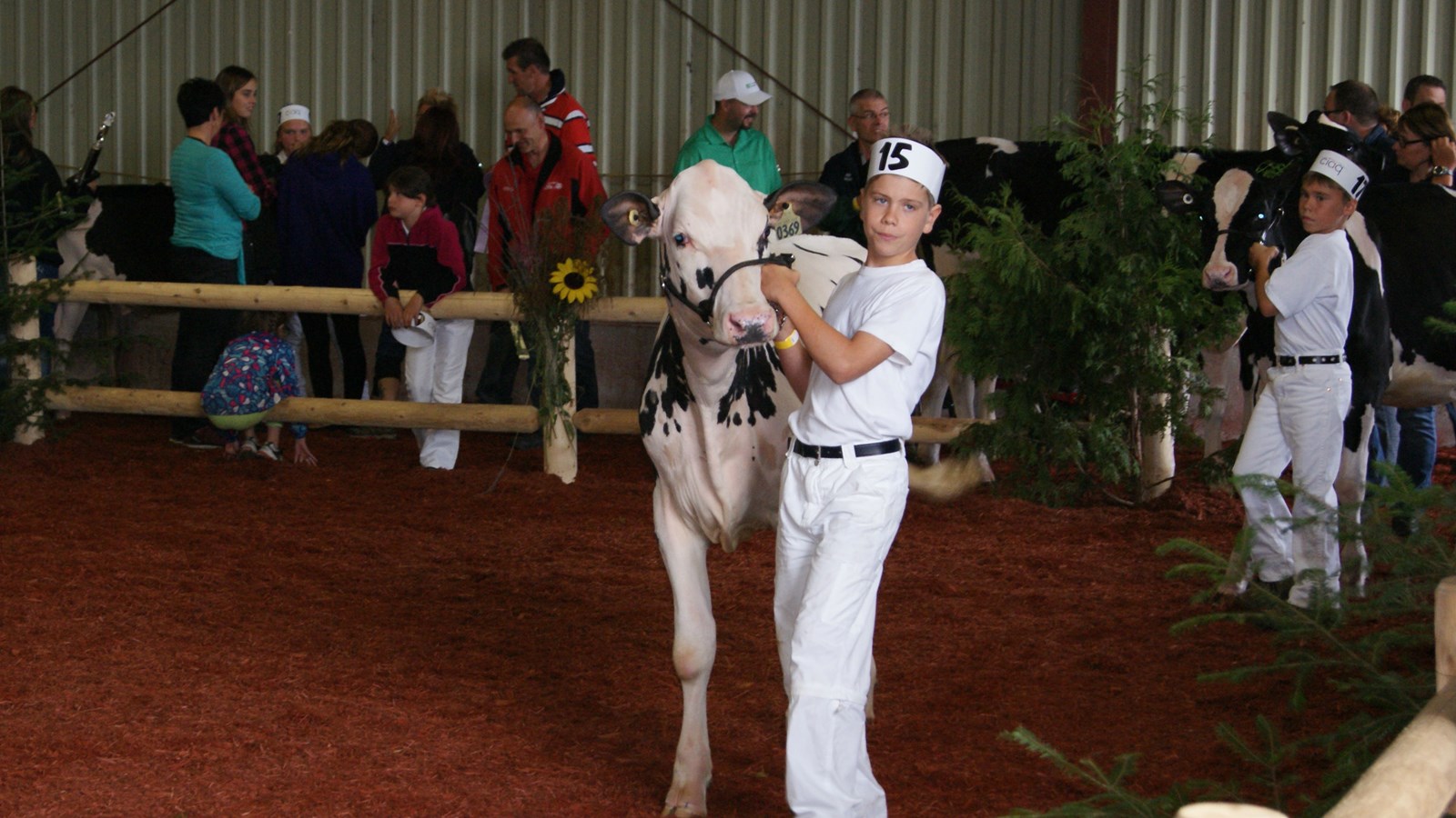 La 51e édition de l'Exposition agricole de Beauce à Saint-Honoré est en branle