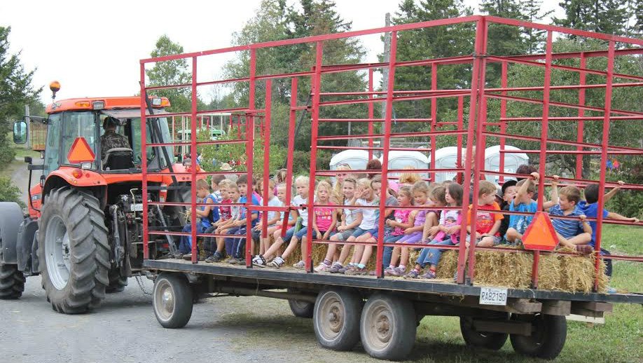 Une 13e édition du Festival à la ferme à Sainte-Marguerite