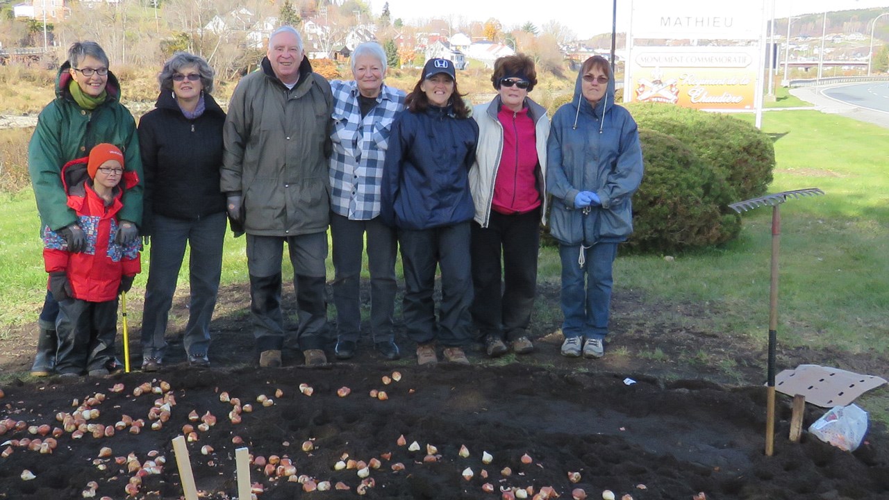 La plantation des bulbes a été prise en charge par une dizaine de bénévoles de la Société d’horticulture et d’écologie de Beauceville.