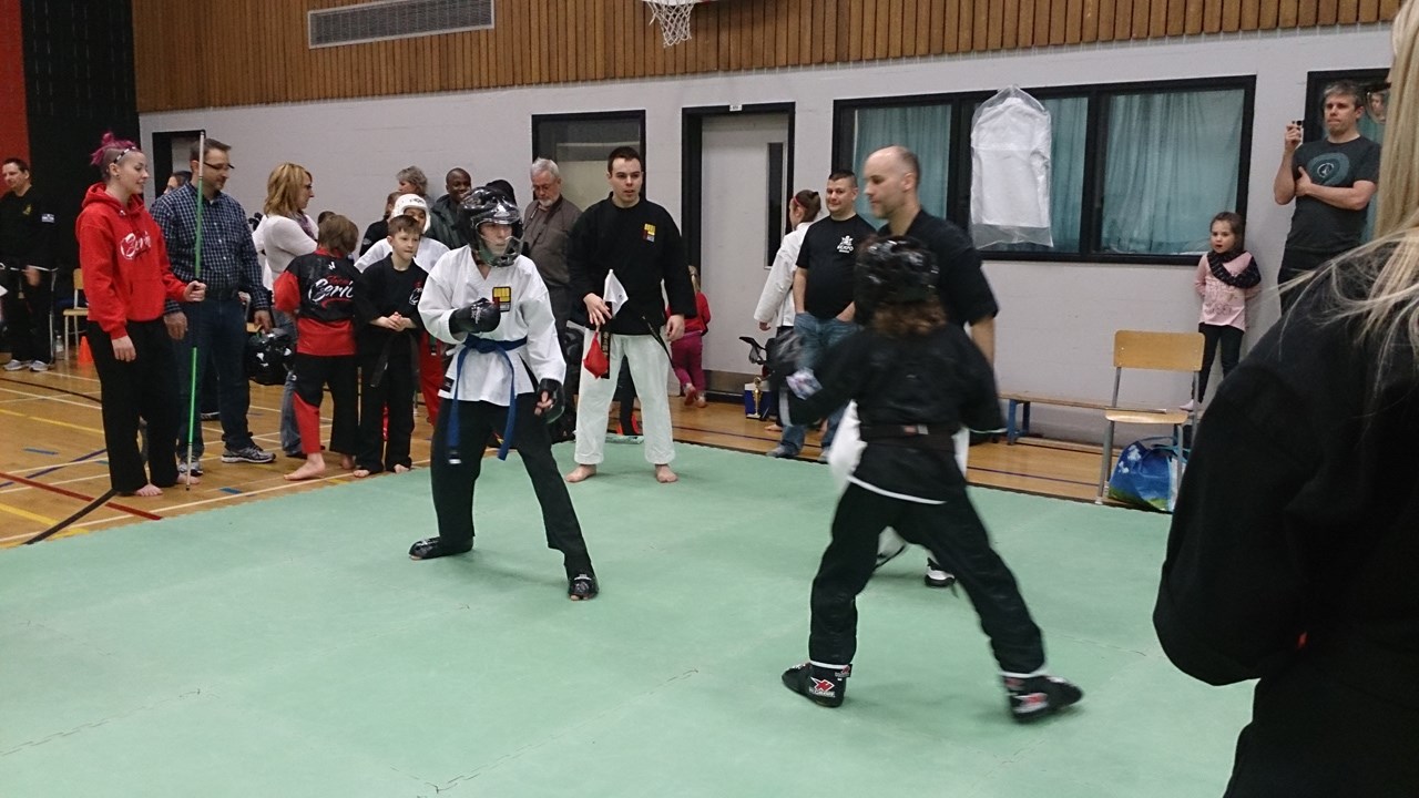 Solide performance des karatékas des Studios Unis lors du Championnat Yoseikan Beauce
