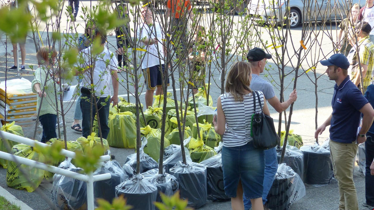 La Ville de Saint-Georges distribue 50 arbres dans le cadre de son concours « Un arbre pour l’avenir »