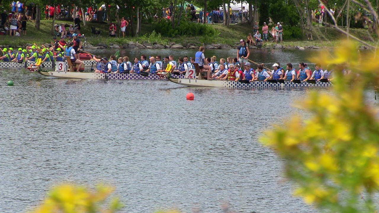 39 équipes prendront part aux courses de bateaux-dragons à Saint-Georges