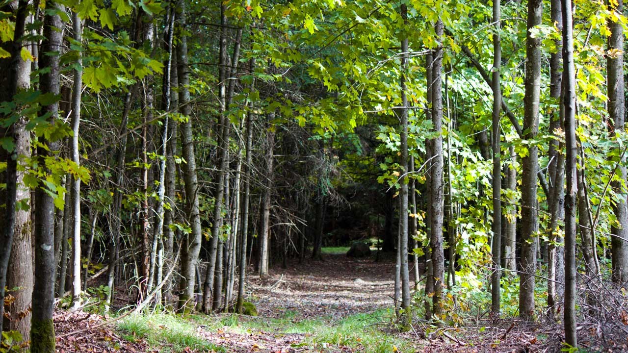 Excursions en milieu isolé : la SQ appelle à la vigilance