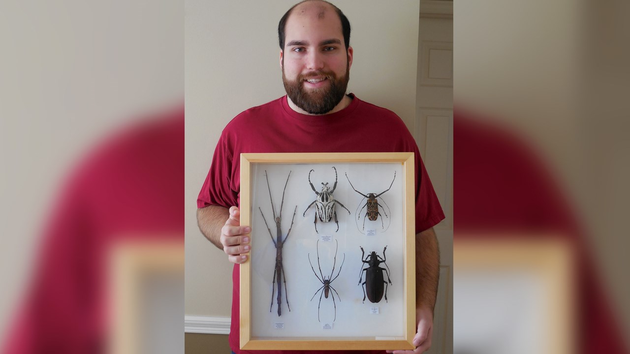 Fasciné par les arthropodes et étant amateur d’entomologie depuis plus d’une quinzaine d’années, le Georgien Simon Landry invite la population les 13 et 14 août prochains à venir découvrir sa vaste collection vivante et naturalisée d’insectes et d’arachnides.