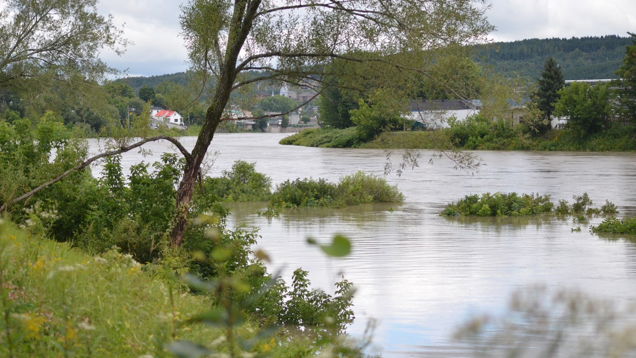 La rivière Chaudière sous surveillance