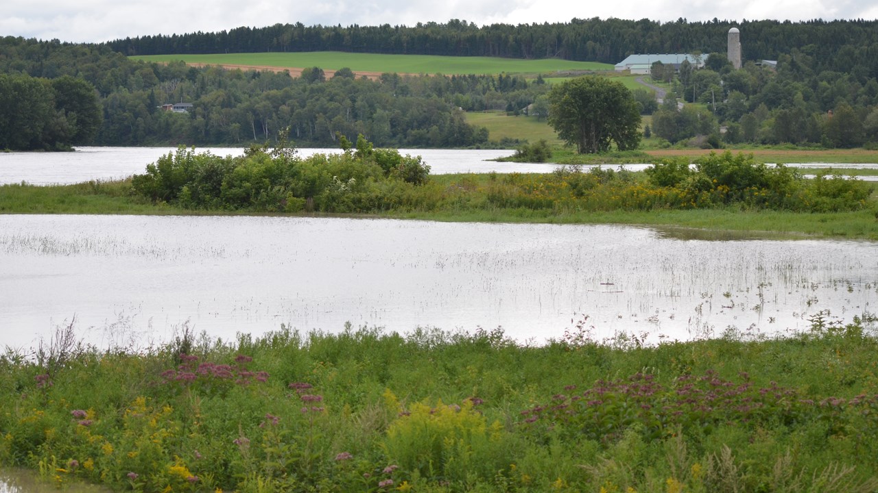 La rivière Chaudière sous surveillance