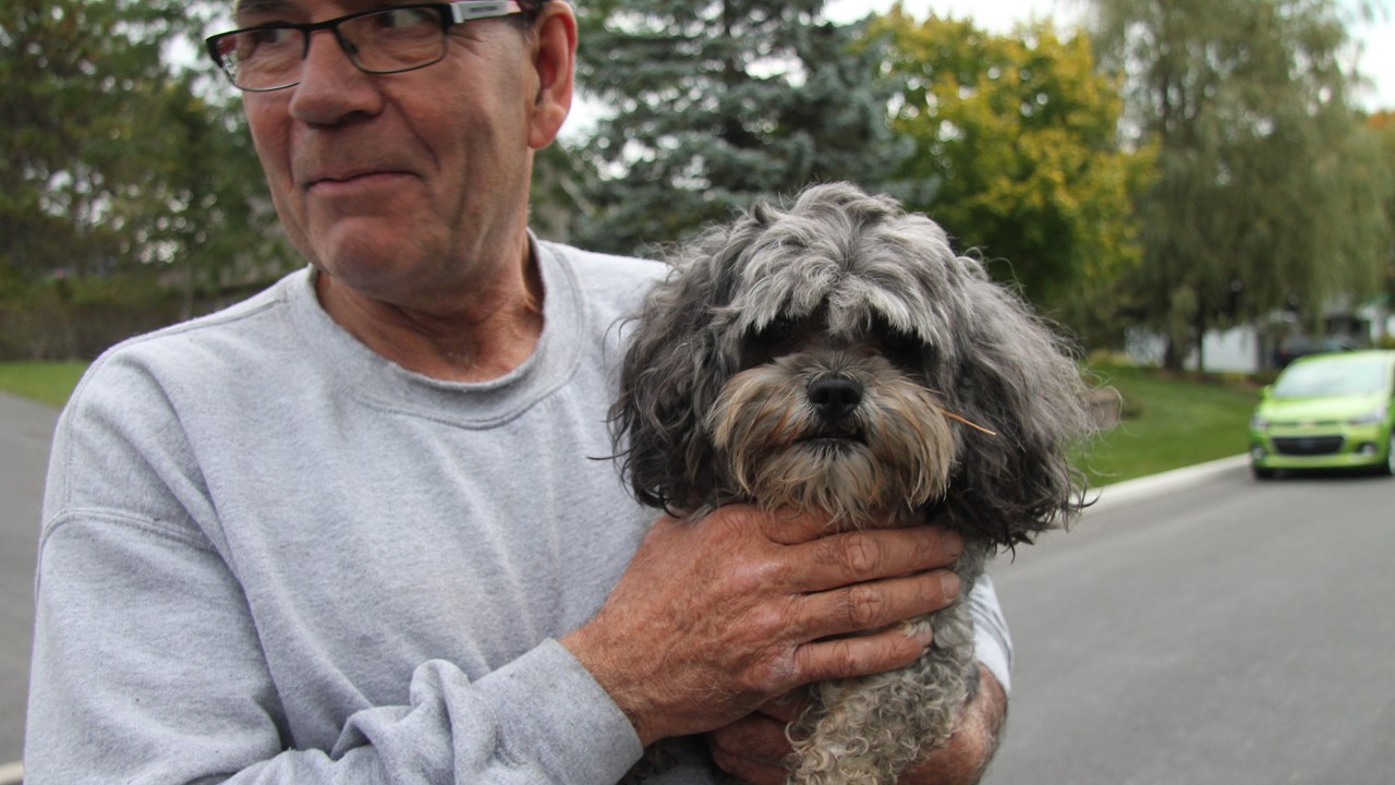 Voilà Kiki!  Embroussaillé, parfumé à la Moufette No 5, mais se prêtant facilement à la photo (les chiens n’aimant généralement pas être pris en photo), Kiki reconnaît enfin une « odeur » qu’il connaît.