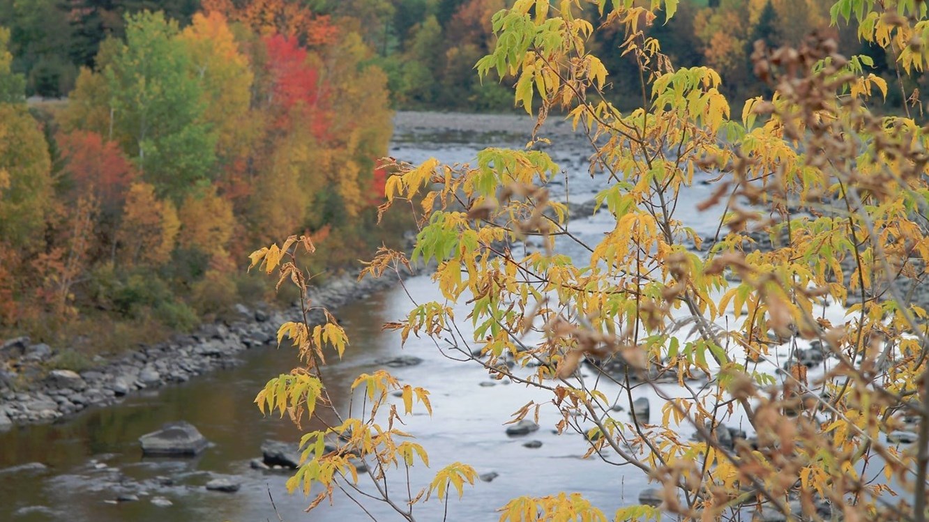 Les atours de la Rivière Chaudière en automne.
