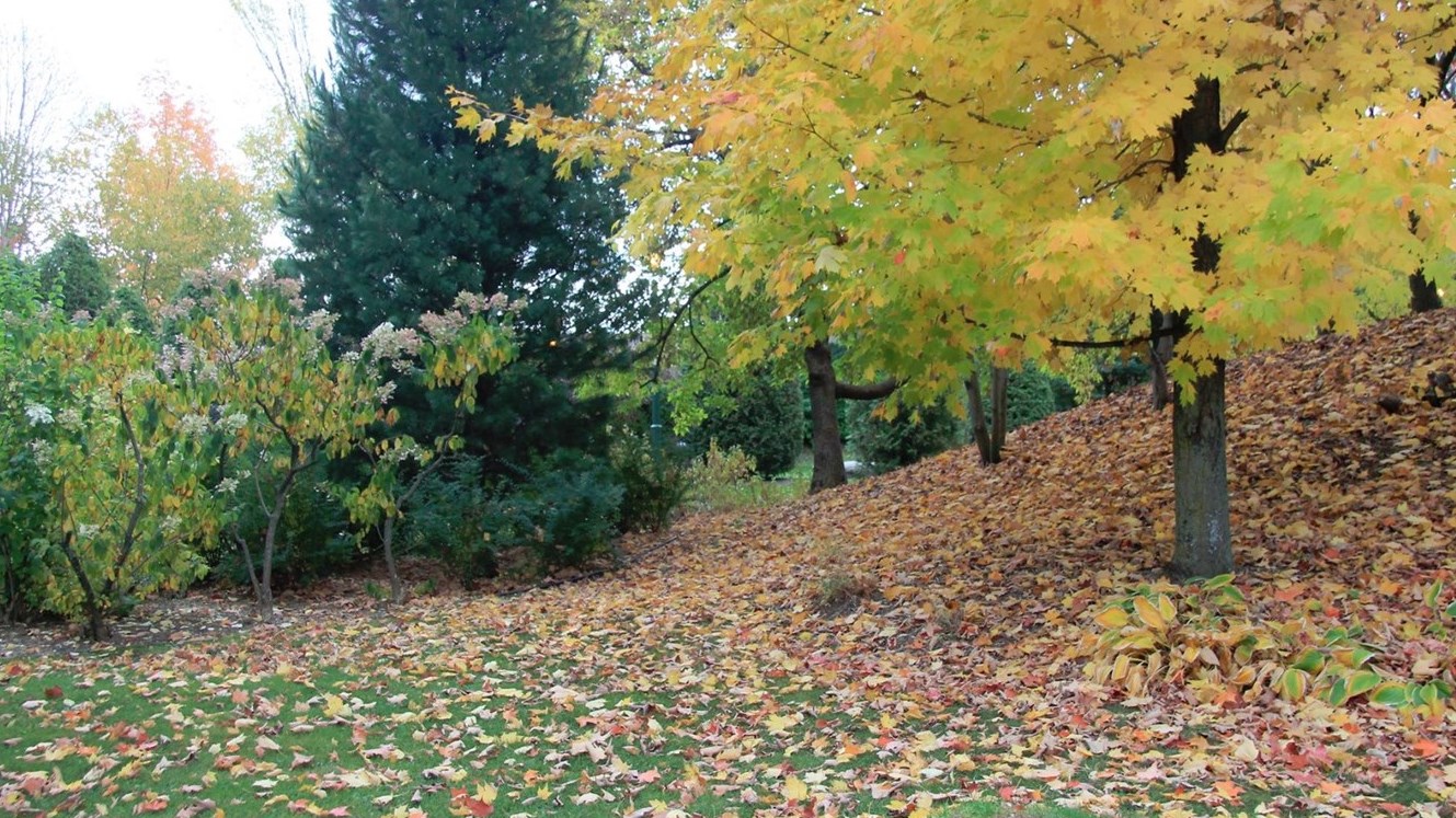 En été et à l’automne, on laisse moins d’excréments de chiens dans les parcs publics, c’est au printemps qu’on y retrouve souvent des petits cadeaux.