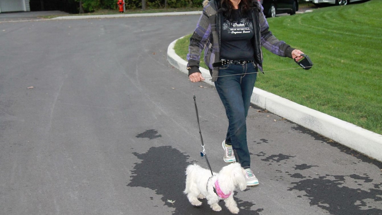 « Tout chien ou chat se trouvant se trouvant sur un terrain autre que celui de son gardien doit être tenu en laisse par une personne capable de le maîtriser. »