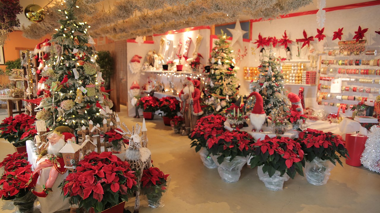 Il y a de tout : des idées de cadeaux, des décorations pour le sapin, des décorations extérieures, des sapins naturels, des branches de pin et plus encore.