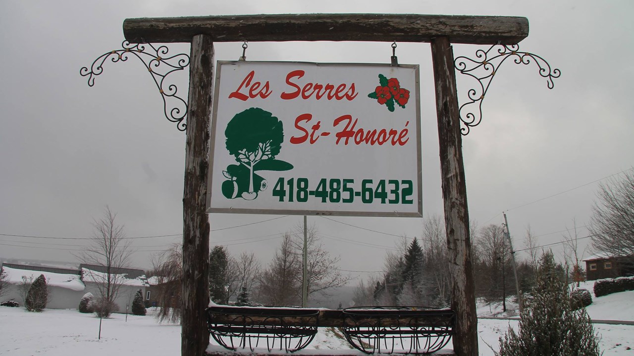 Les Serres St-Honoré, seul producteur de poinsettias en Beauce.