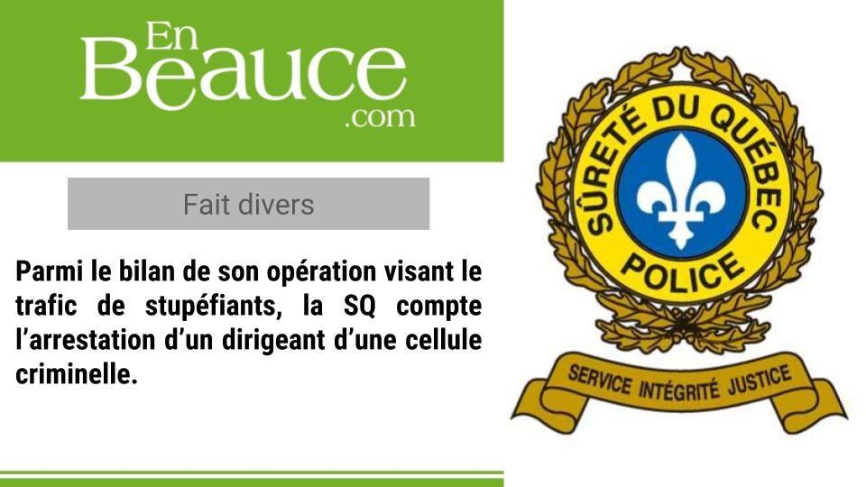 Cannabis, haschisch, Viagra, méthamphétamine et armes à feu : grosses saisies policières