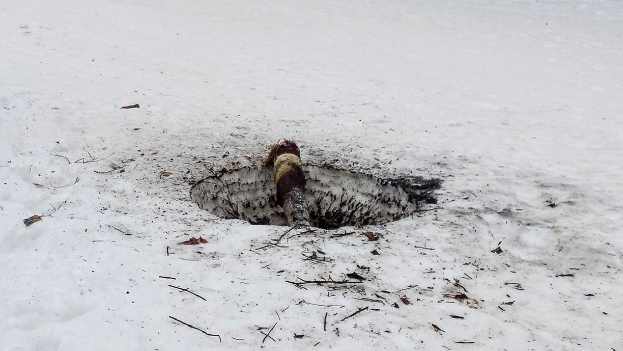 Les traces du feu ont été découvertes ce matin. 