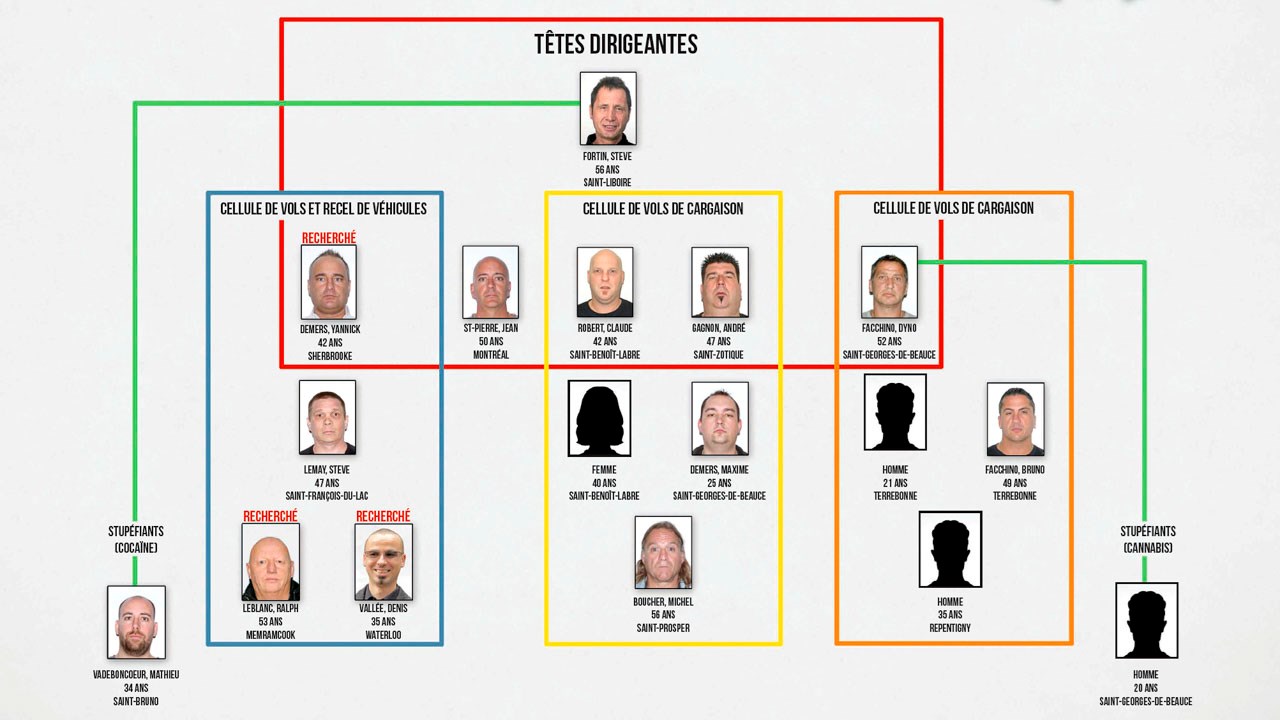 La SQ dresse un organigramme synthétisant l'organisation du réseau criminel démantelé hier à travers le Québec. 