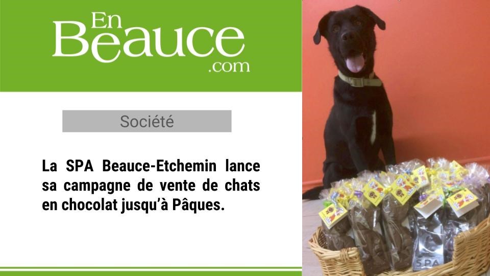 Lancement de la campagne de sensibilisation de la SPA au problème de surpopulation des chats.