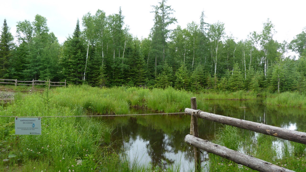 L’Association pour la protection des milieux humides de la Cumberland reconnue par Environnement Canada