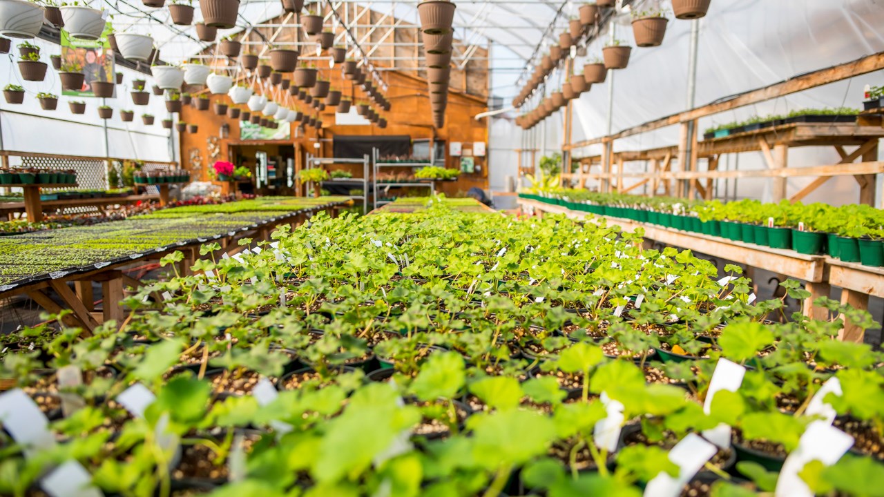 Les dernières tendances des Serres Saint-Georges exposées à l’Expo Habitat Beauce