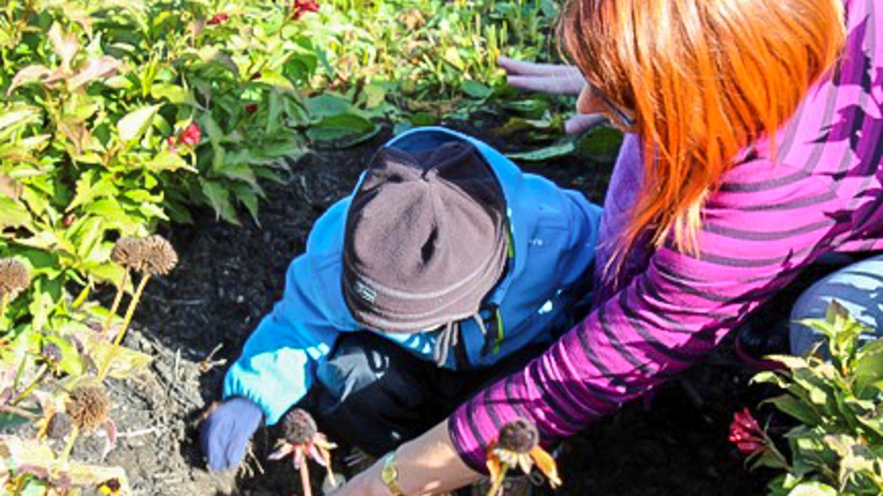 À l'issue du brunch, les personnes intéressées pourront participer à une marche symbolique vers le Jardin des Anges de l'Île Pozer, où des parents endeuillés avaient planté des tulipes en octobre dernier en mémoire de leurs enfants. 