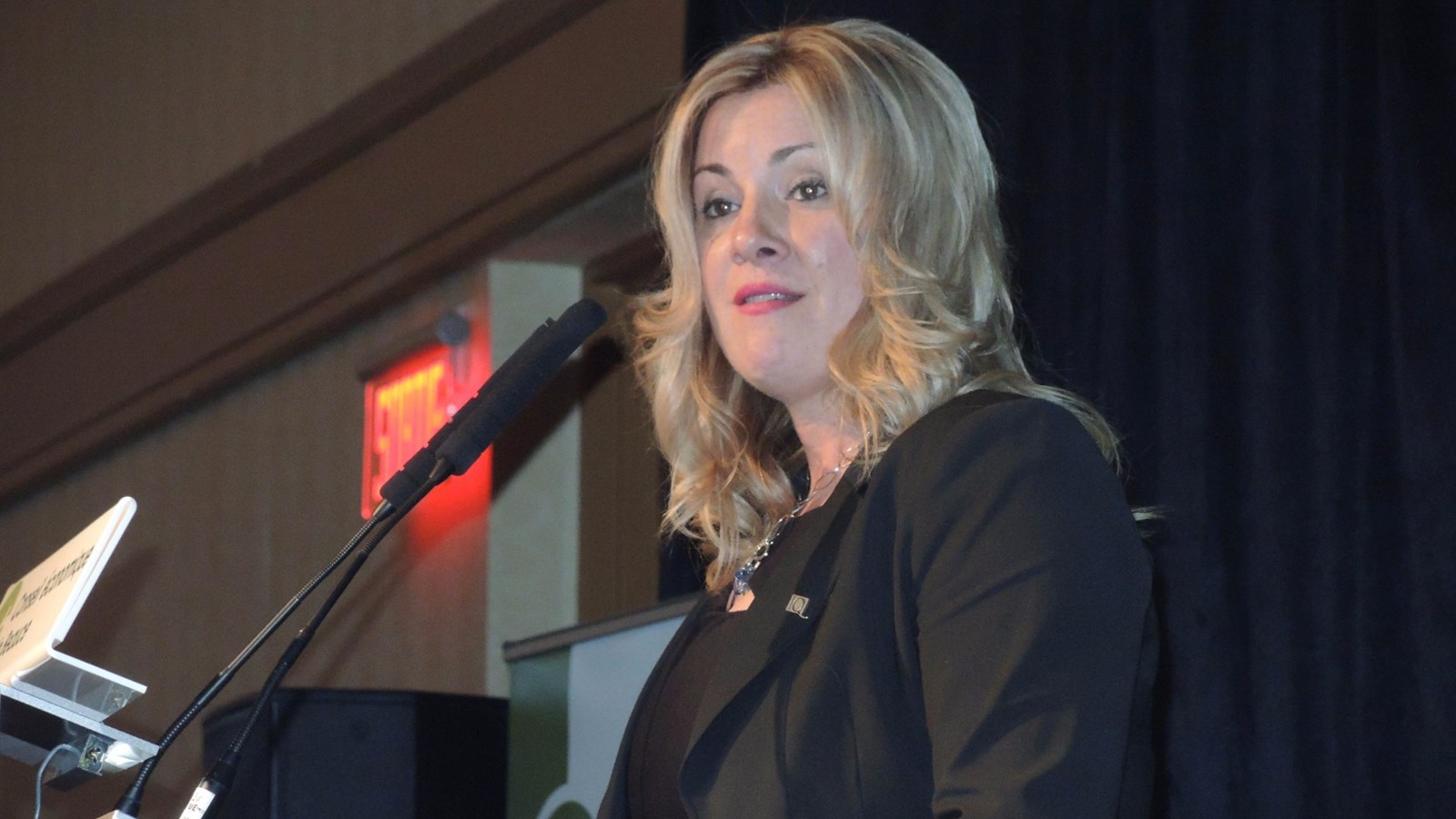 Sonya Cliche, présidente du comité organisateur de l'événement et directrice de portefeuille et représentante régionale chez Investissement Québec.