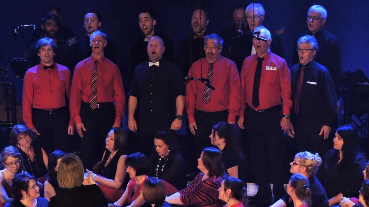 Les choristes du groupe vocal L'Écho Beauceron présentaient pour la troisième fois le 30 avril 2017 leur 56e concert annuel sous le thème de « L’Envers du décor » à la Polyvalente Saint-Georges.