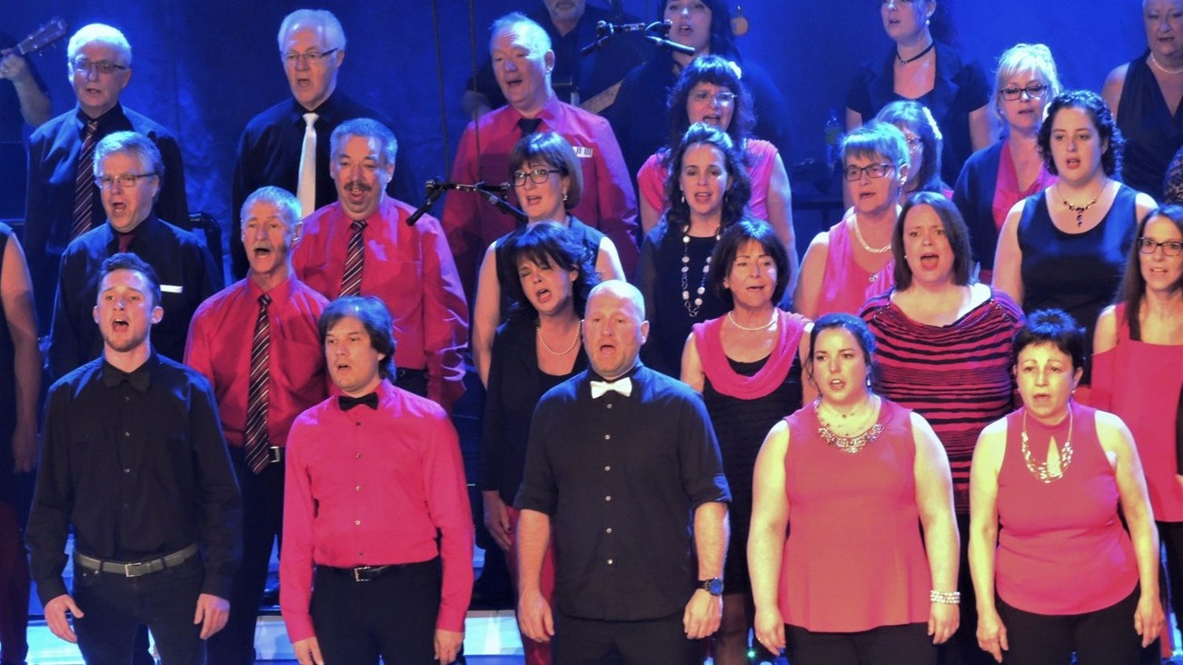 Les choristes du groupe vocal L'Écho Beauceron présentaient pour la troisième fois le 30 avril 2017 leur 56e concert annuel sous le thème de « L’Envers du décor » à la Polyvalente Saint-Georges.