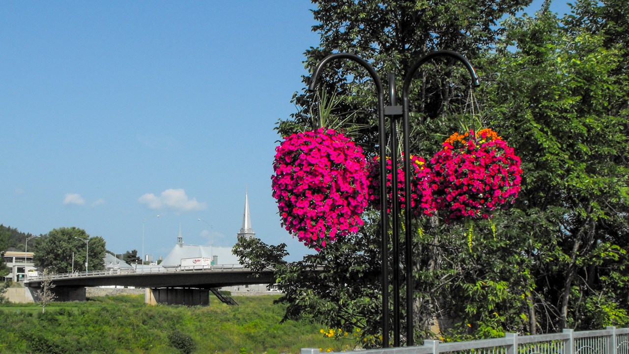 Beauceville invite la population à fleurir leur environnement pour viser un 4e fleuron cet été 