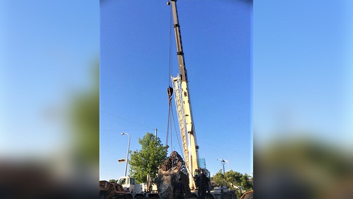 Beauce Art : la 1re sculpture de l'édition 2017 est complétée et installée